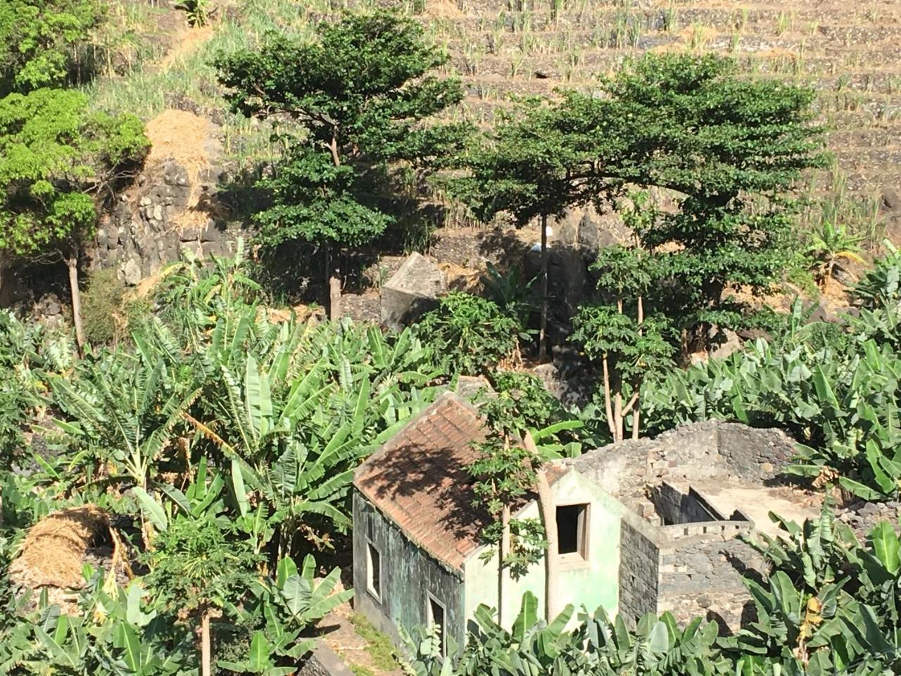 Guest House Frontera Pinto 外观 照片