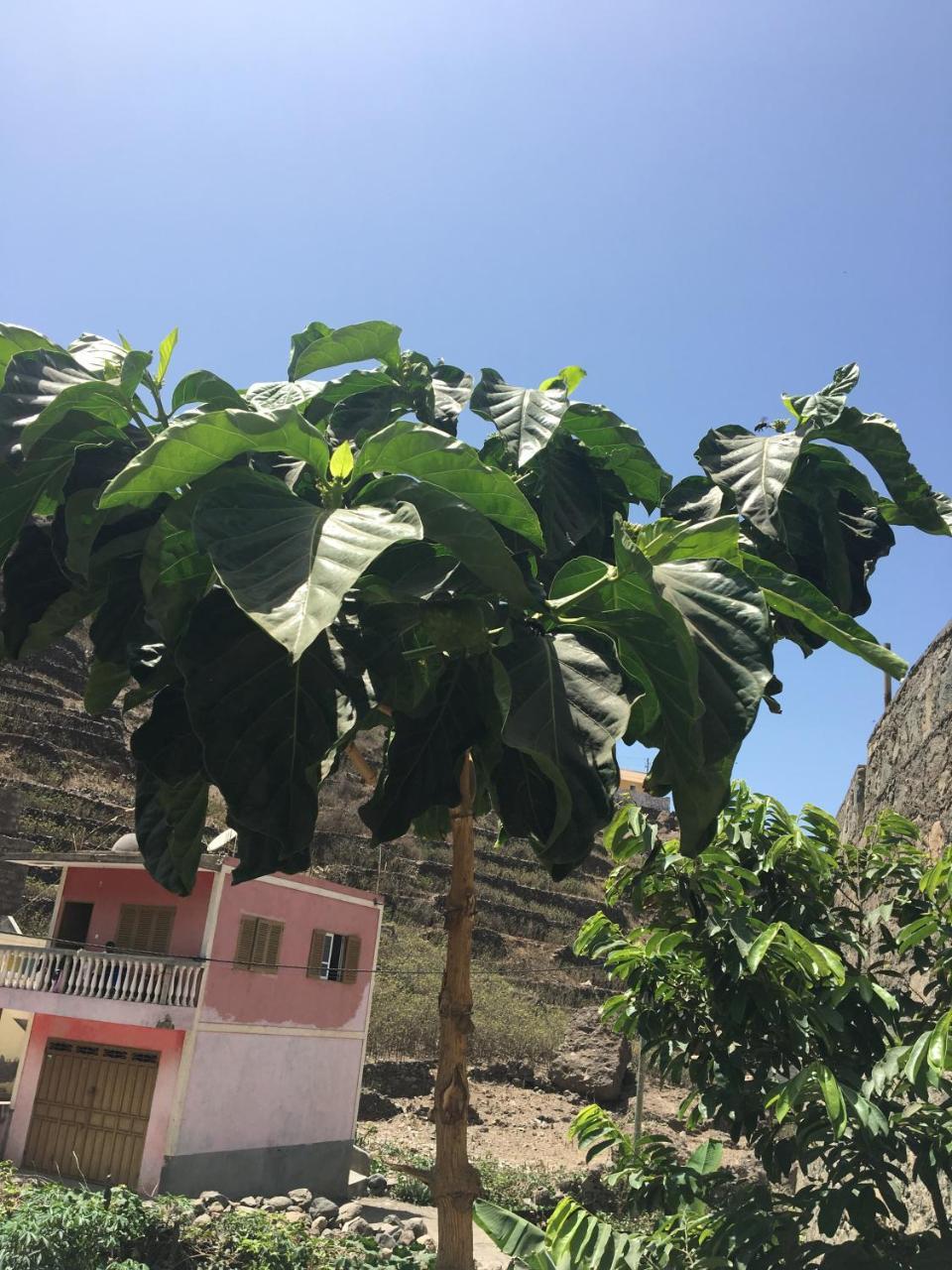 Guest House Frontera Pinto 外观 照片